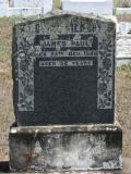 image of grave number 813485
